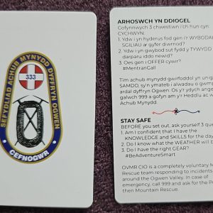 *NEW* Playing Cards - Cardiau Chwarae