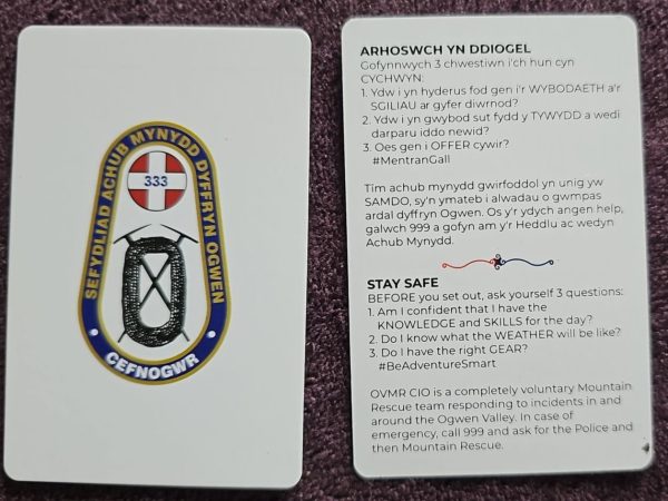 *NEW* Playing Cards - Cardiau Chwarae