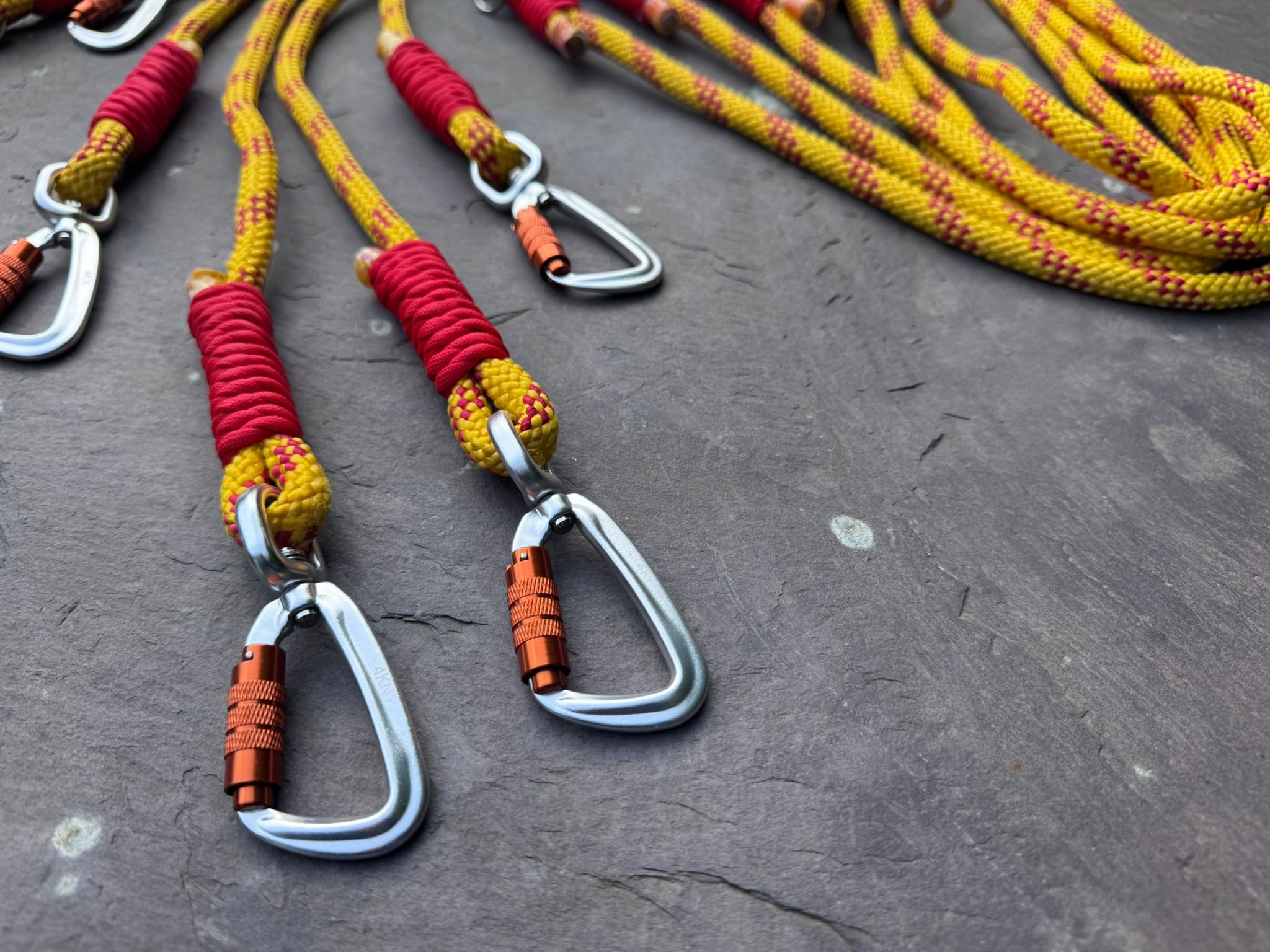 *NEW* Ogwen MR - Rope dog leads with a rescue story! - Image 7